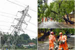 बारिश से केरल के कई हिस्सों में पेड़ गिरे, बिजली की तारें टूटीं