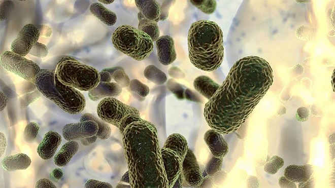 आईसीएमआर अध्ययन में नौ में से एक व्यक्ति संक्रामक रोग से संक्रमित पाया गया