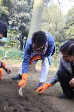 एनडीएमसी उपाध्यक्ष ने ट्यूलिप बल्बों के रोपण की शुरुआत की