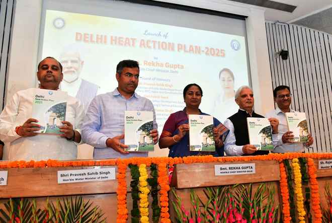 हीटवेव से बचने के लिए दिल्ली सरकार ने तैयार किया एक्शन प्लान