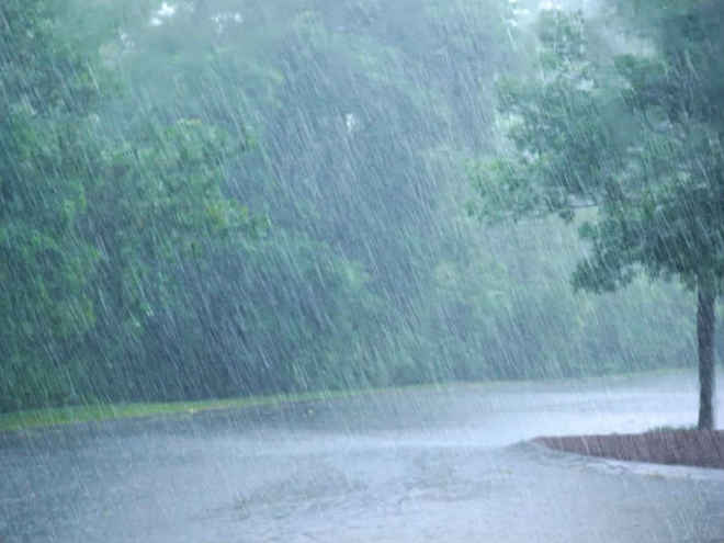 मुंबई में बारिश और तेज हवाओं का पूर्वानुमान