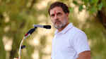 भाजपा-आरएसएस नहीं चाहते कि गरीब बच्चा अंग्रेजी सीखे : राहुल