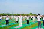 डीडीए ने 39 स्थानों पर मनाया 11वां अंतरराष्ट्रीय योग दिवस