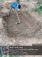 एमसीडी ने 394 पार्कों में वर्षा जल संचयन प्रणाली की सफाई की