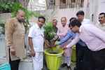 नेता सदन प्रवेश वाही ने निगम विद्यालय में किया पौधारोपण