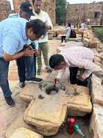 एमसीडी ने पर्यटक स्थलों पर मच्छरों के प्रजनन की जांच के लिए चलाया अभियान