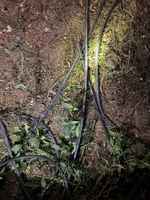 एयरपोर्ट एक्सप्रेस लाइन पर चोरी के लिए केबल कटने से दिल्ली मेट्रो की रफ्तार प्रभावित