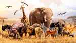 World Animal Day: राजस्थान और उत्तराखंड के मुख्यमंत्री समेत कई नेताओं ने पशुओं के संरक्षण की अपील