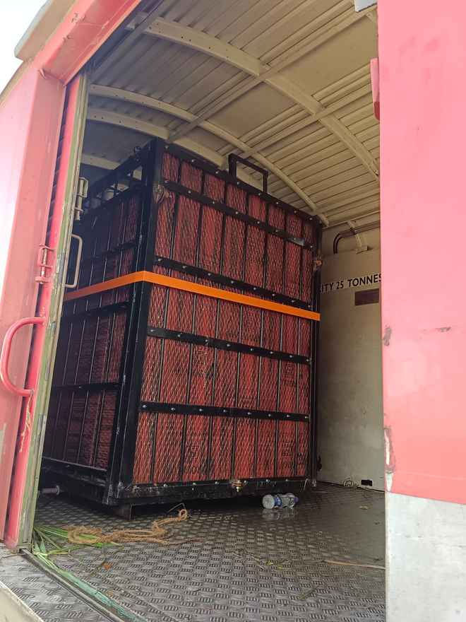 रेलवे और वन विभाग के समन्वय से ट्रेन में चेन्नई से जम्मू पहुंचे दो हिप्पो