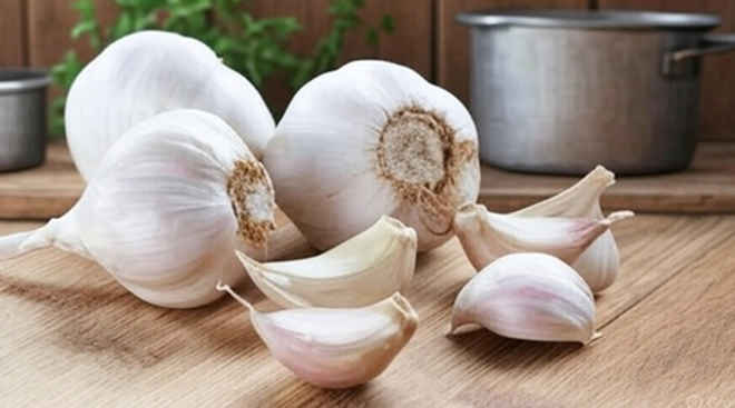 स्वाद ही नहीं सेहत के लिए लाजवाब है लहसुन, आयुर्वेद के जानिए फायदे