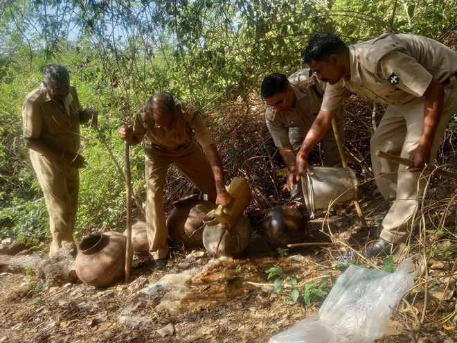 विशेष अभियान में आबकारी विभाग ने किए 906 मामले दर्ज