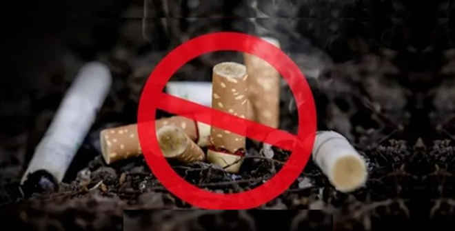 तंबाकू छोड़ते ही मिलने लगते हैं फायदे, सिर्फ 20 मिनट में दिखने लगता है असर