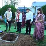 राज्यपाल रमेन डेका ने किया पौधरोपण, कलेक्ट्रेट परिसर में रोपा आम का पौधा