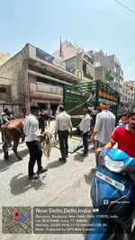 दिल्ली नगर निगम ने 30 आवारा पशु पकड़े