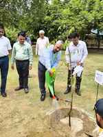 विश्व पर्यावरण दिवस पर जीडीए ने शुरू किया वृक्षारोपण अभियान