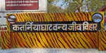 कतर्नियाघाट वन क्षेत्र में बाघ का हमला,दम्पत्ति घायल