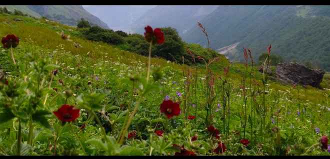 उत्तराखंड में आज भी बरसेंगे बादल, लोगों को सतर्क रहने की सलाह