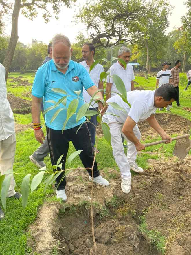 एक पेड़ मां के नाम अब एक अभियान नहीं आंदोलन बन चुका है: जेपी