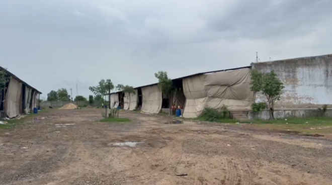 फैक्ट्री में हुए धमाके के बाद गुजरात में 39.57 करोड़ के अवैध पटाखे जब्त किए गए