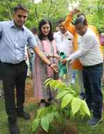 एनडीएमसी ने अब तक 50 हजार से अधिक झाडिय़ों का किया रोपण