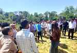 तमरोह क्लस्टर में जापानी फल की दस्तकः एचपी शिवा परियोजना बनी सहारा