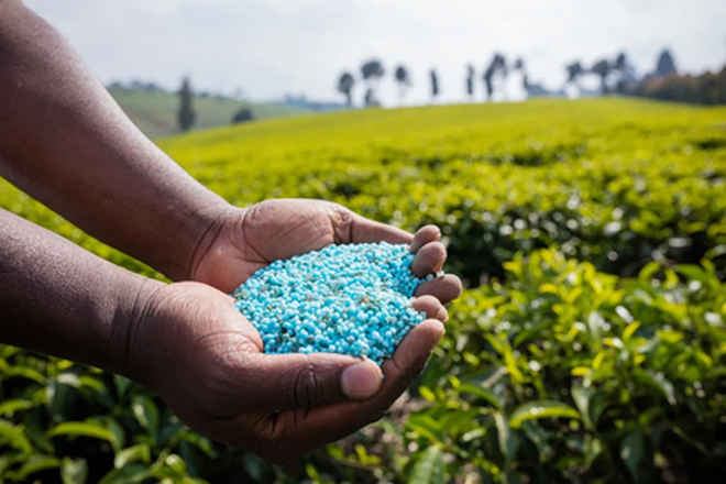 आरसीएफ लिमिटेड में 326 अप्रेंटिस पदों पर भर्ती का मौका, 20 सितंबर तक करें आवेदन
